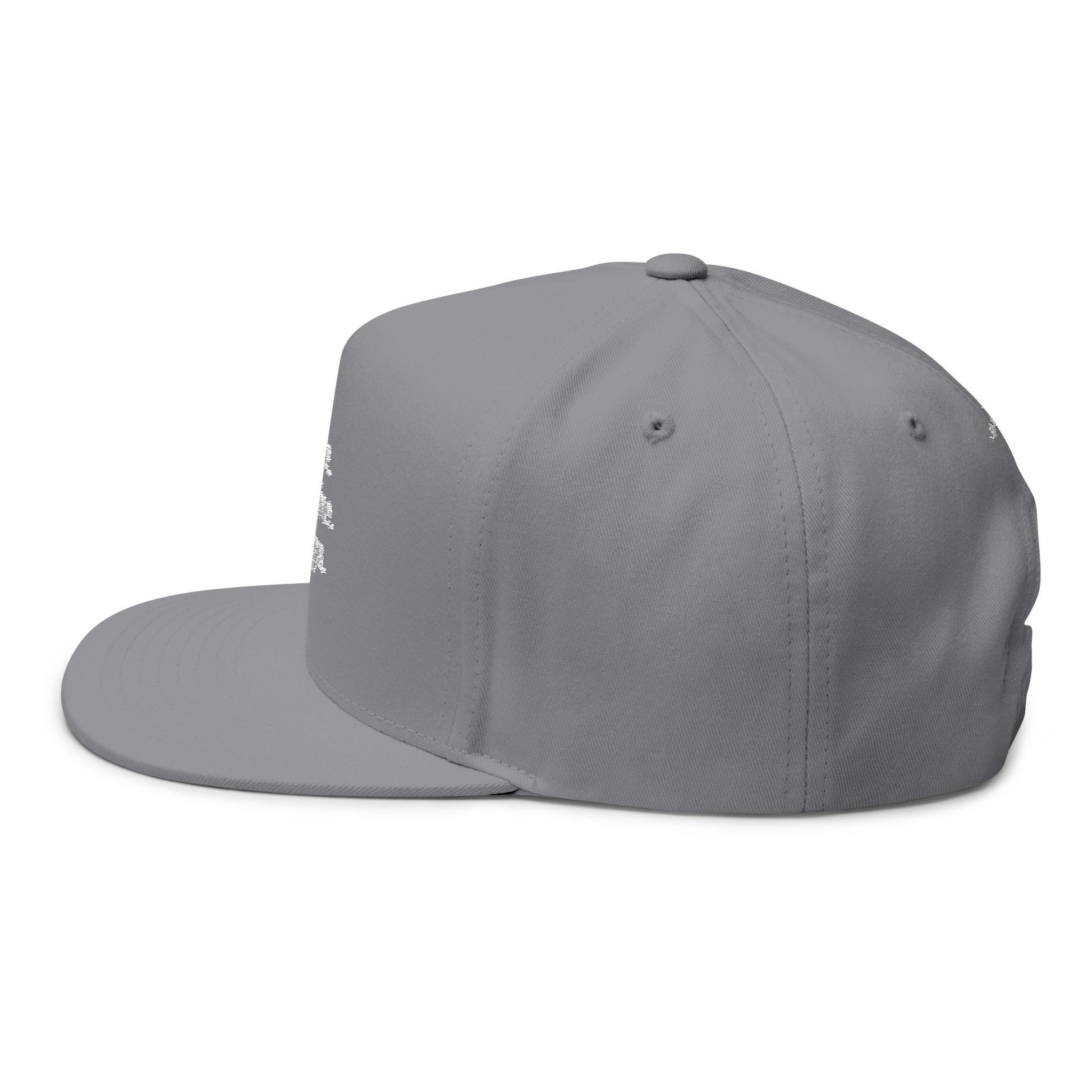 Rise, Shine, Align Snapback Hat