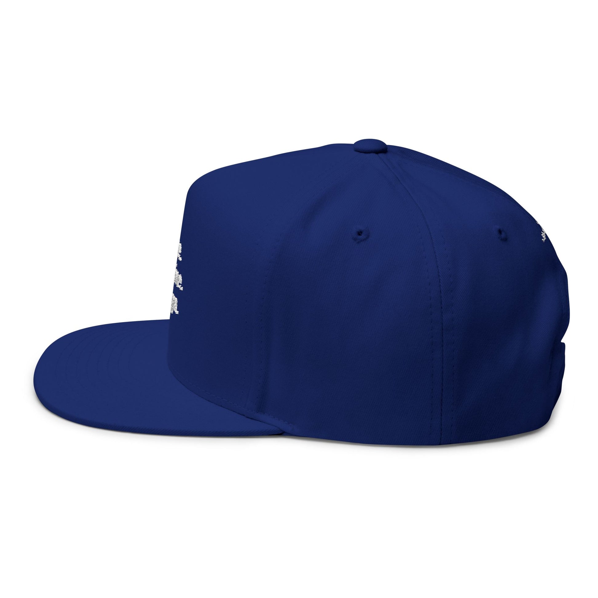 Rise, Shine, Align Snapback Hat