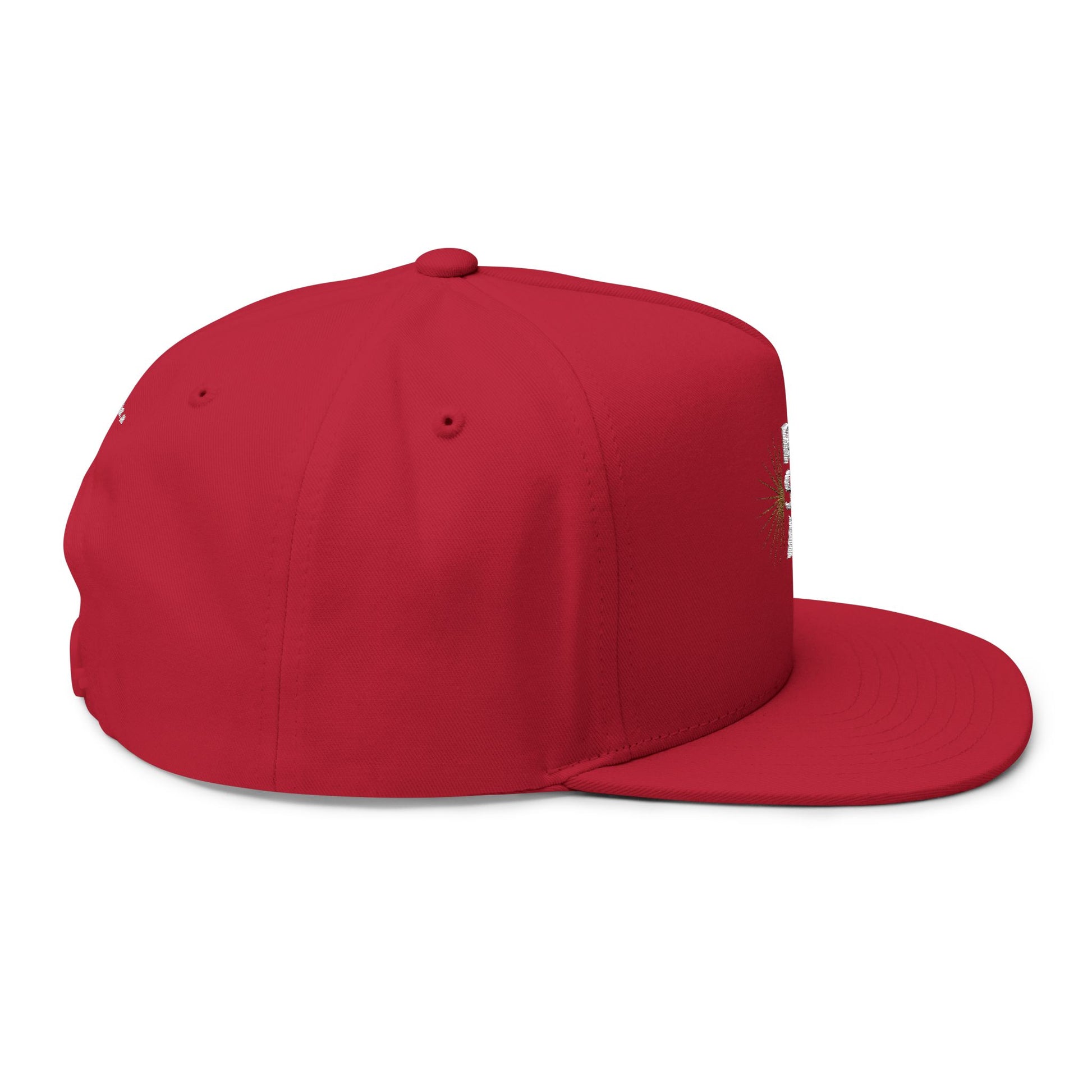 Rise, Shine, Align Snapback Hat