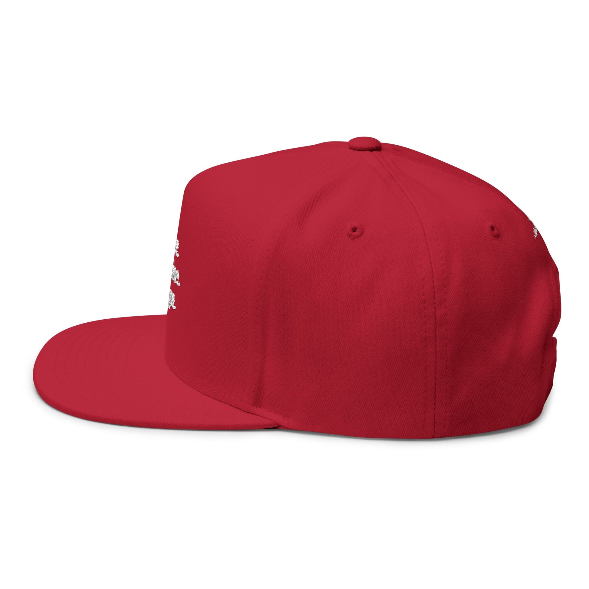 Rise, Shine, Align Snapback Hat