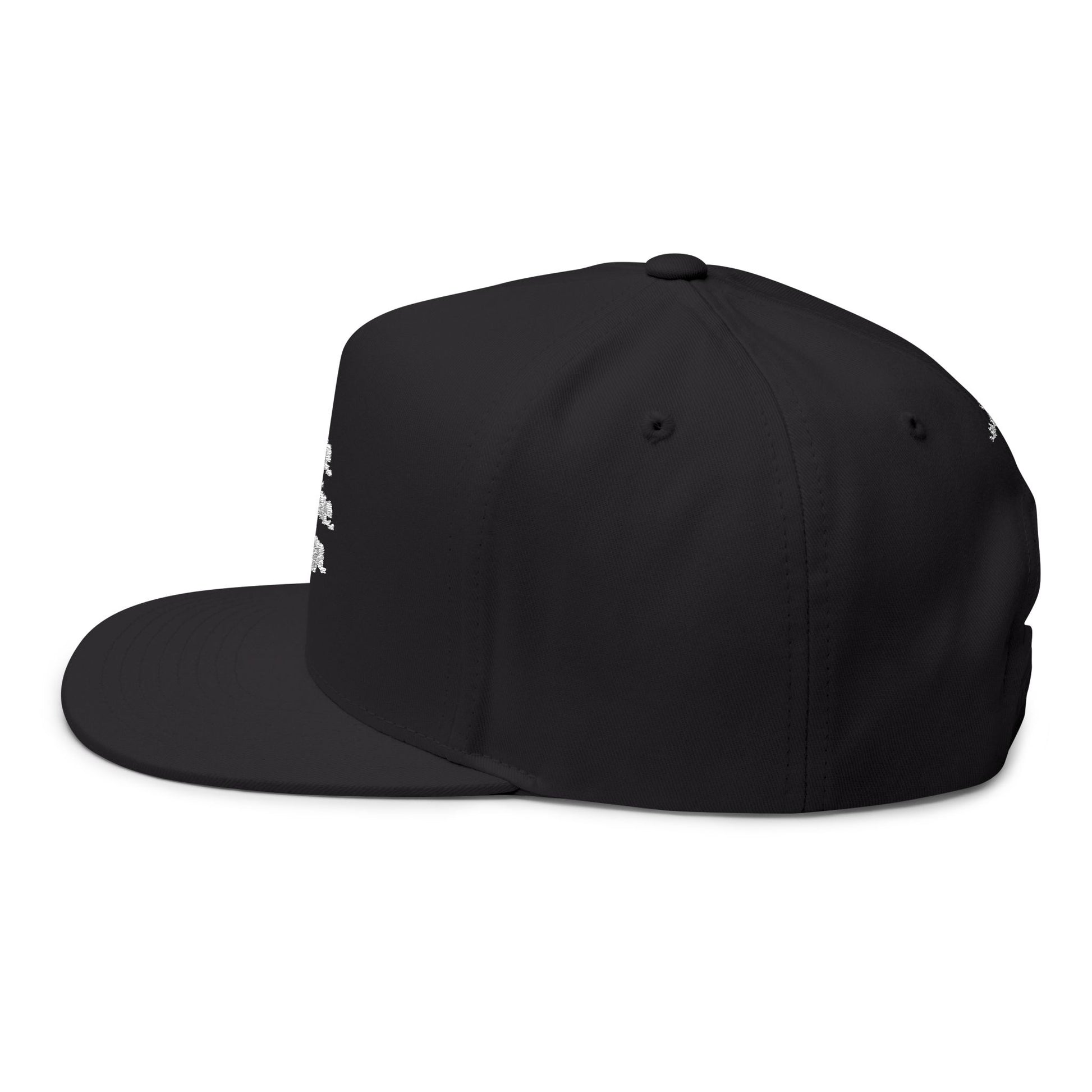 Rise, Shine, Align Snapback Hat