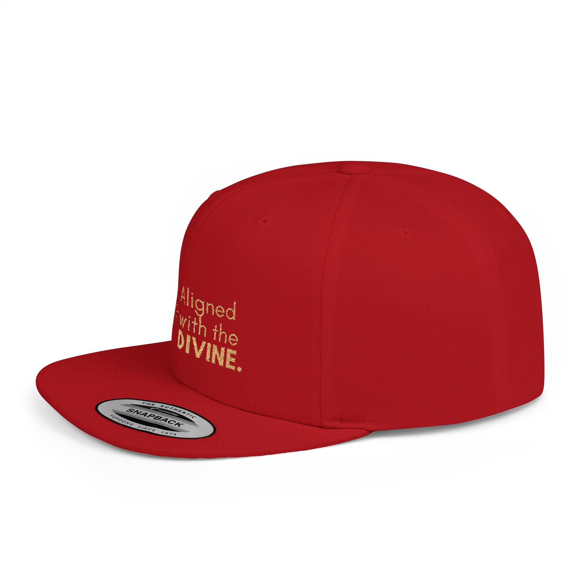 Aligned With The Divine Snapback Hat